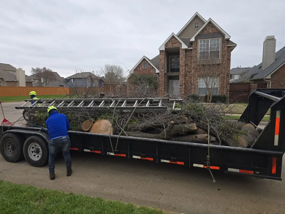 Expert Tree Removal with proper safety equipment in Tieton
